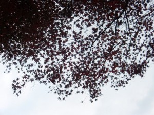 jtree jtree